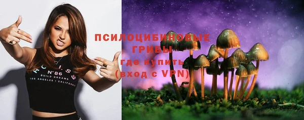 PSILOCYBIN Алапаевск