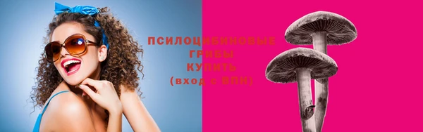 PSILOCYBIN Алапаевск