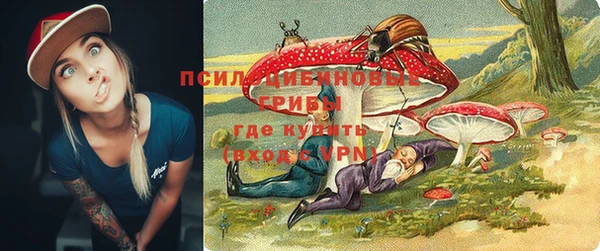 PSILOCYBIN Алапаевск